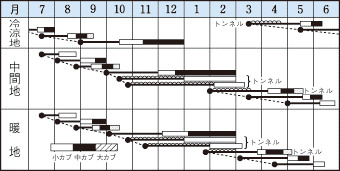 タキイ耐病ひかり作型