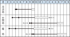 滝野川大長作型