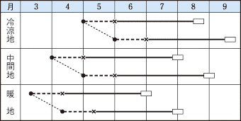 タキイ鉄かぶと作型