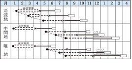 トップセラー作型