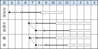 タキイ早生子持作型
