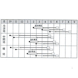 タキイYR春空作型