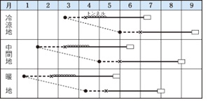 タキイ夢味作型