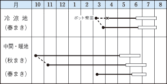 タキイジャッキー作型