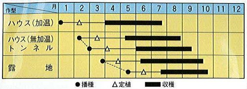 トキタほろにがくん