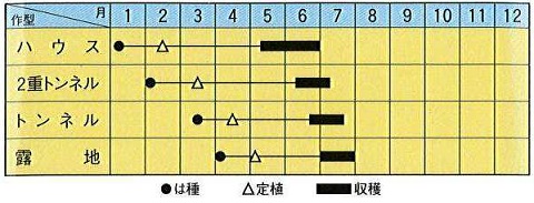 トキタ金のたまご作型
