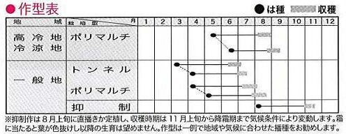 トキタミルキースイーツ作型