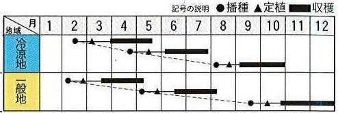トキタローマ作型