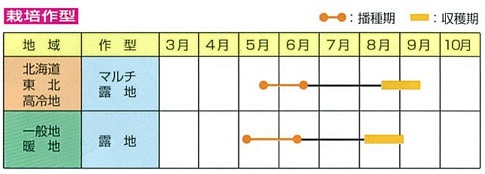 青雫