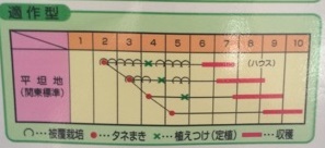 東みどり作型