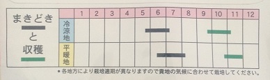 えんれい