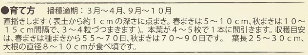 有機種子　黒ダイコン