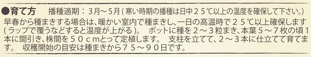 有機種子ビオレッタ茄子作型