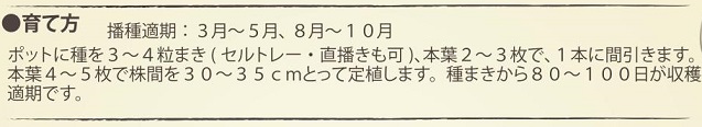 有機種子　オークリーフ赤