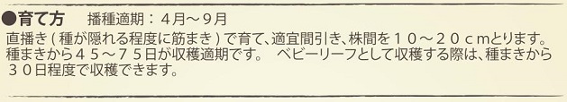 有機種子パクチョイ作型