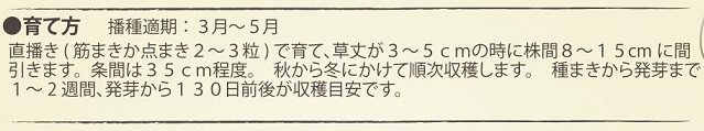 有機種子白ニンジンパースニップ作型