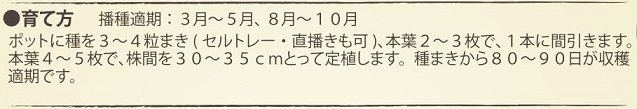 有機種子レッドサラダボウル