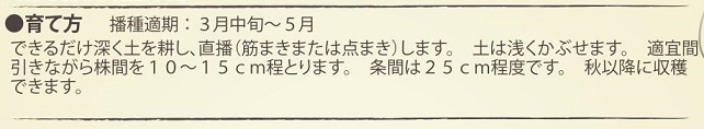 有機種子西洋ゴボウサルシファイ