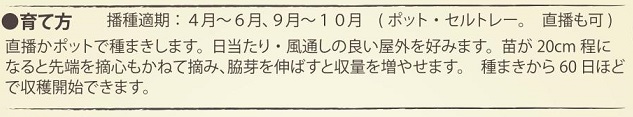 有機種子スイートバジル作型