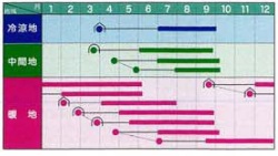 ブルースカイ作型