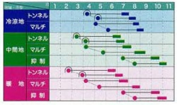 サニーショコラ８８作型