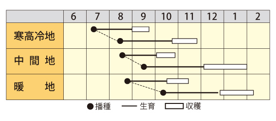 味づくり作型