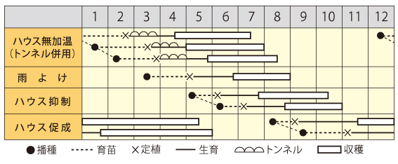 甘っこ作型