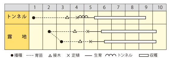 味白川作型