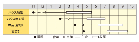 ゴーヤチャン作型