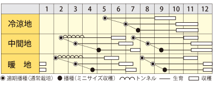 ハーモニー作型