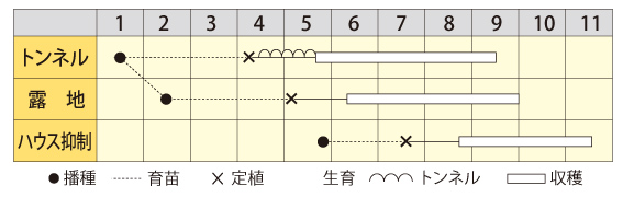 賀茂茄子作型