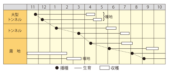 紅映五寸作型