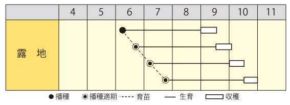 中早生たんくろう作型