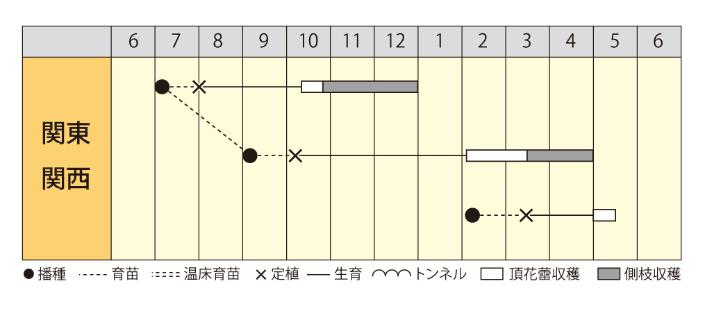 緑山作型