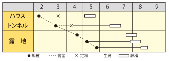 たんくろう作型