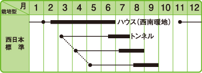 あばしゴーヤ作型