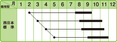 姫トウガラシ作型