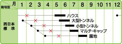 虎太郎作型