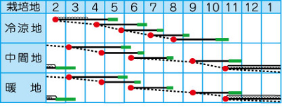 四季まさり作型