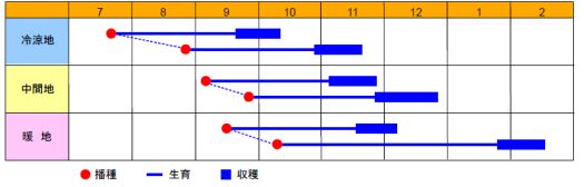 YR秋岬作型