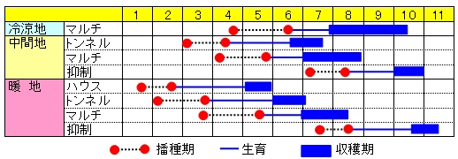 あまいんです作型