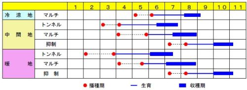 あまいんです８８作型