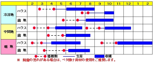 シュガーグリーン作型