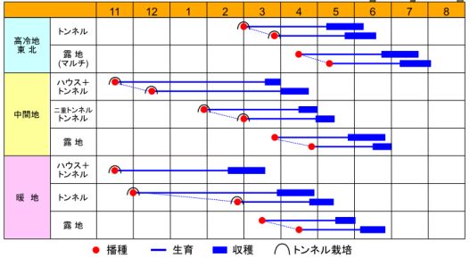富美勢作型