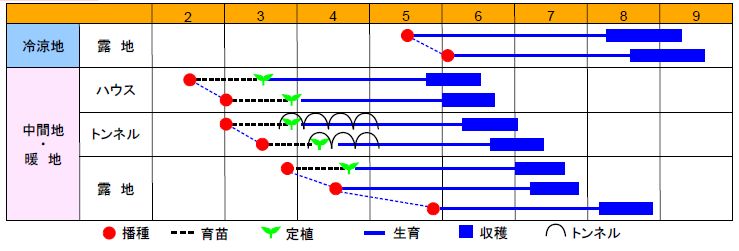 とよふさ作型